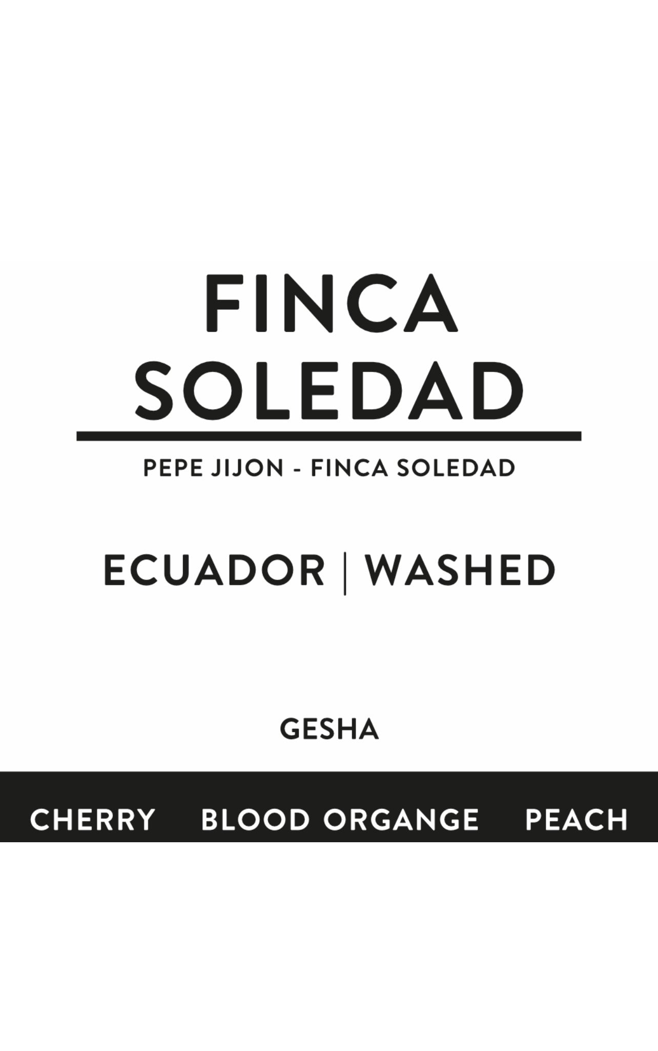 FINCA SOLEDAD | ECUADOR | washed