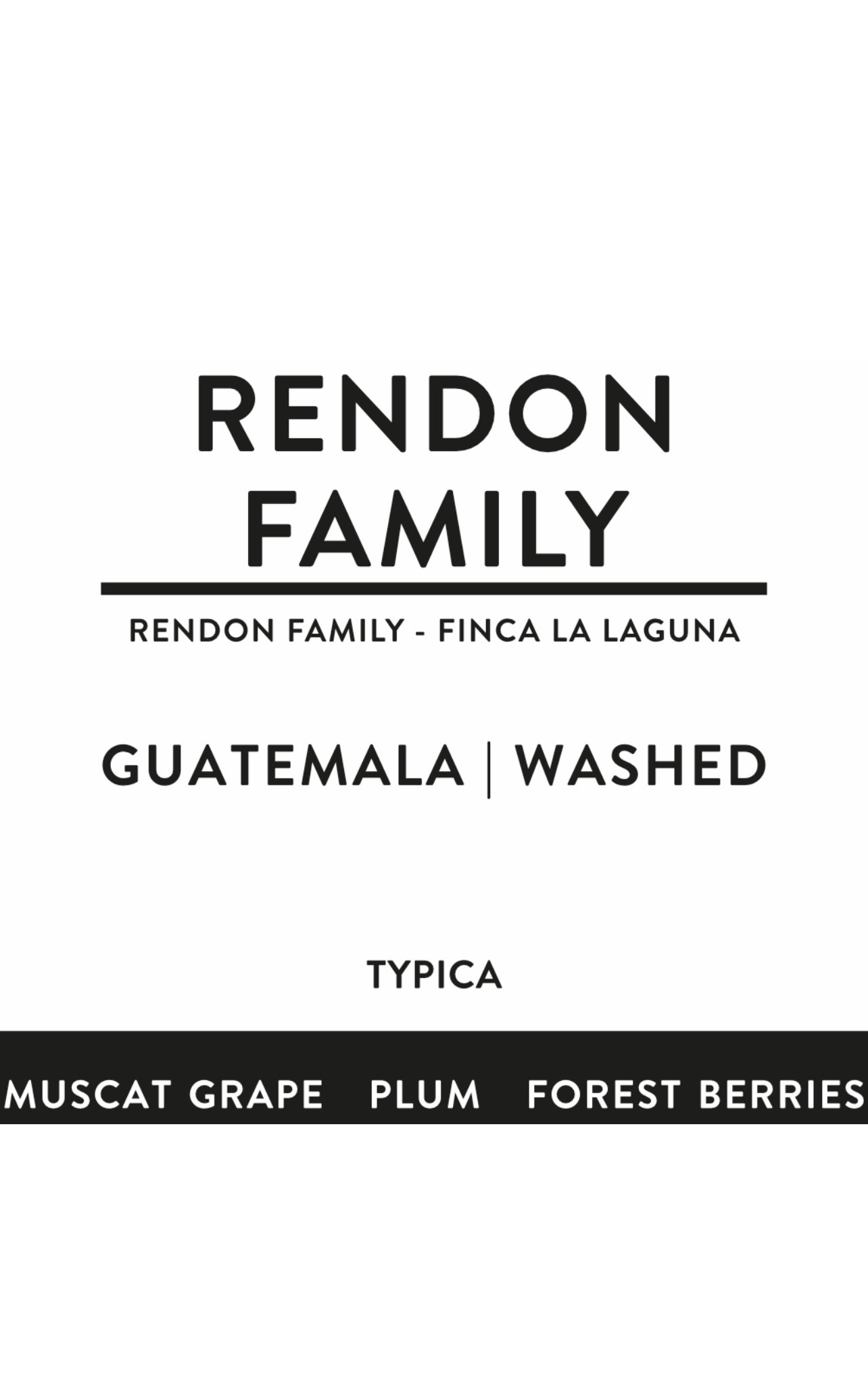 RENDON FAMILY | GUATEMALA | washed