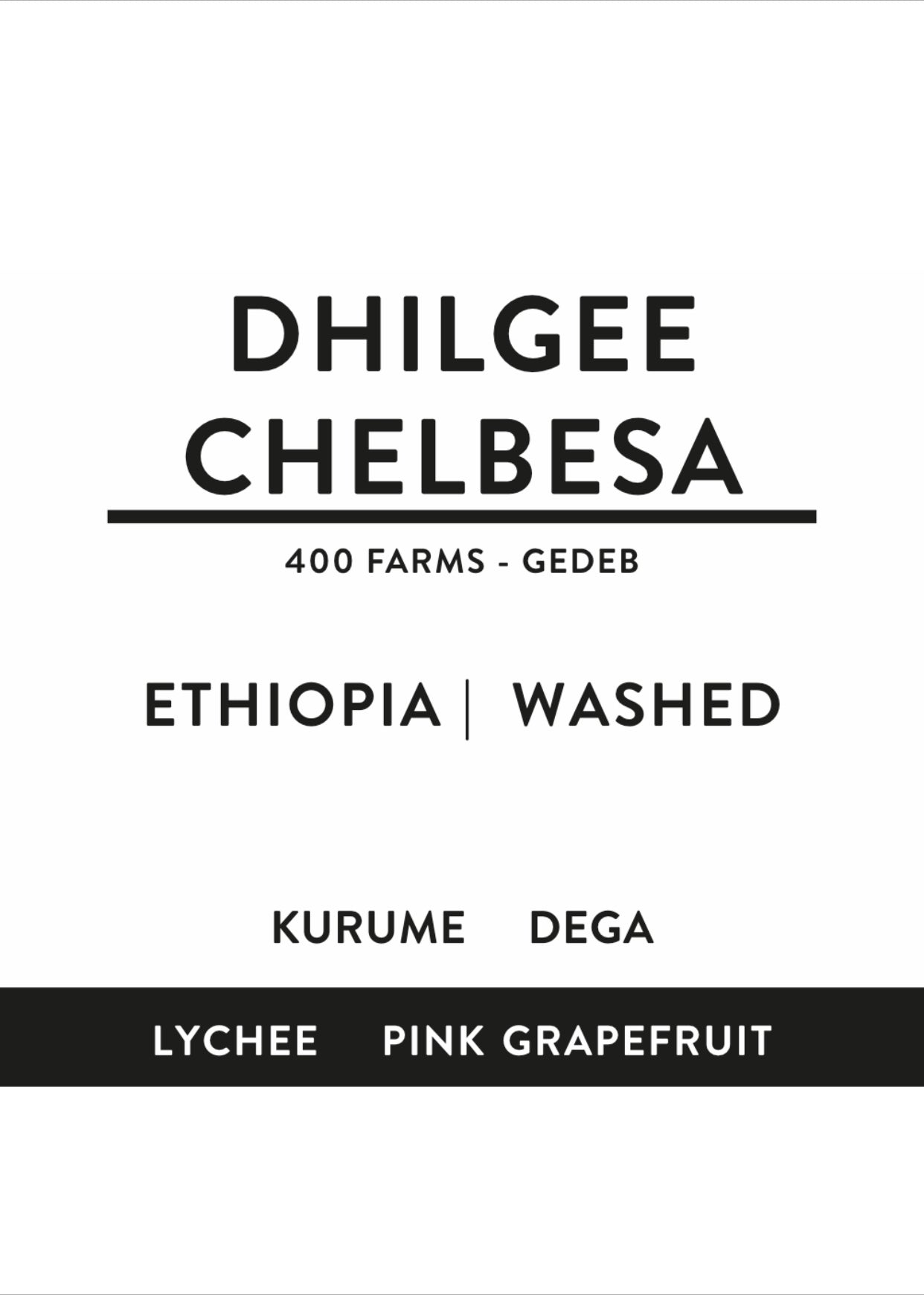 DHILGEE CHELBESA | Äthiopien | washed