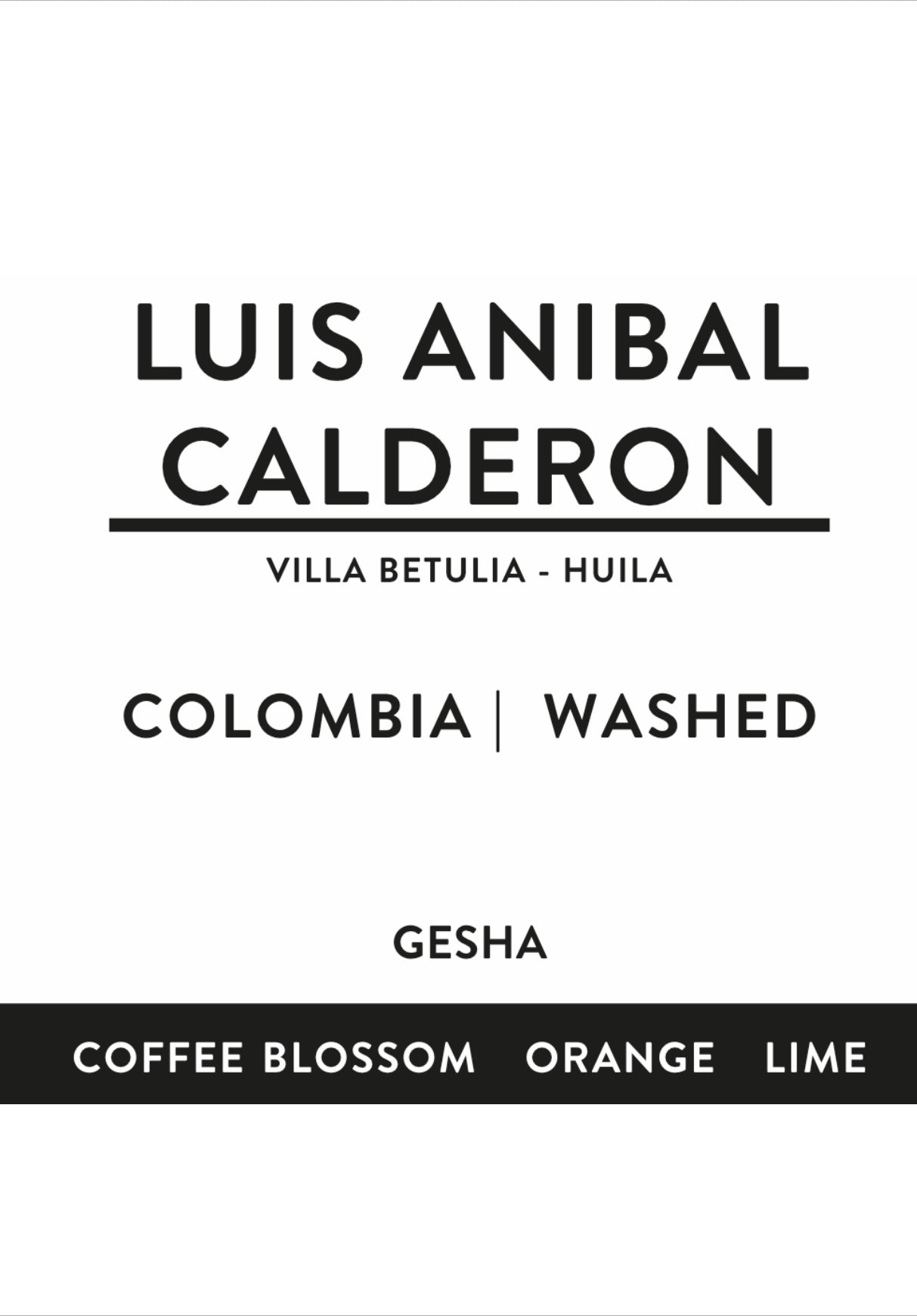 LUIS ANIBAL CALDERON | Colombia | washed